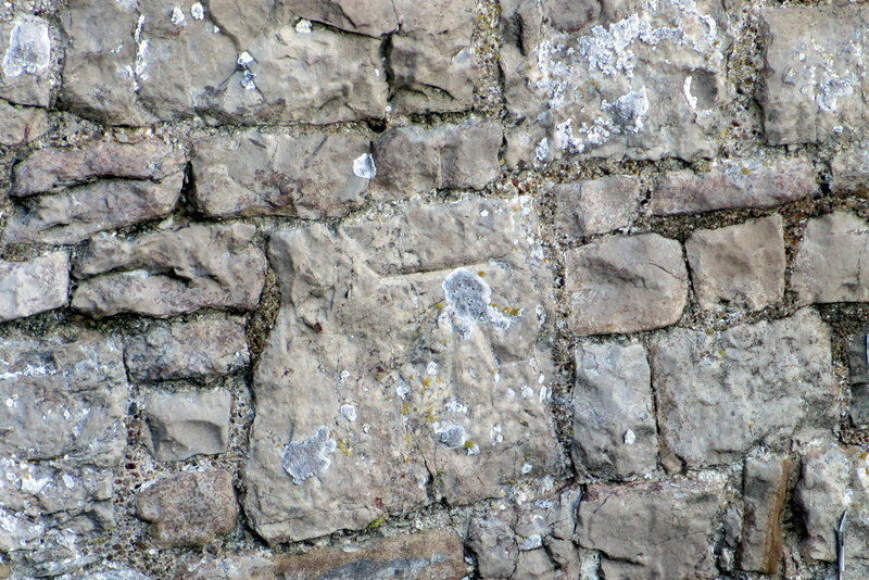 Denbigh Castle