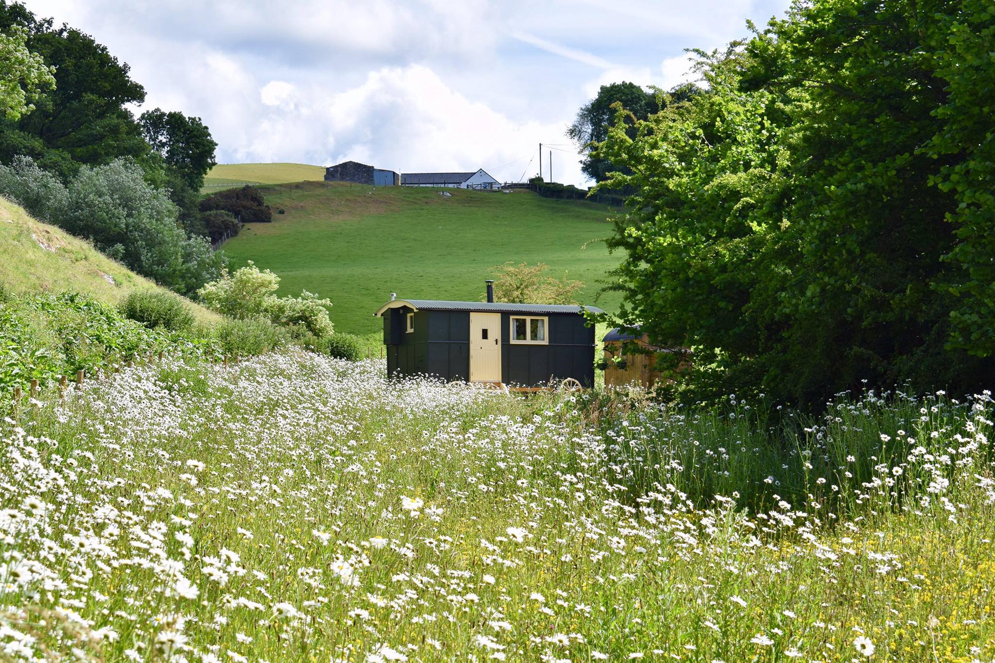 Beuno's Huts Glamping